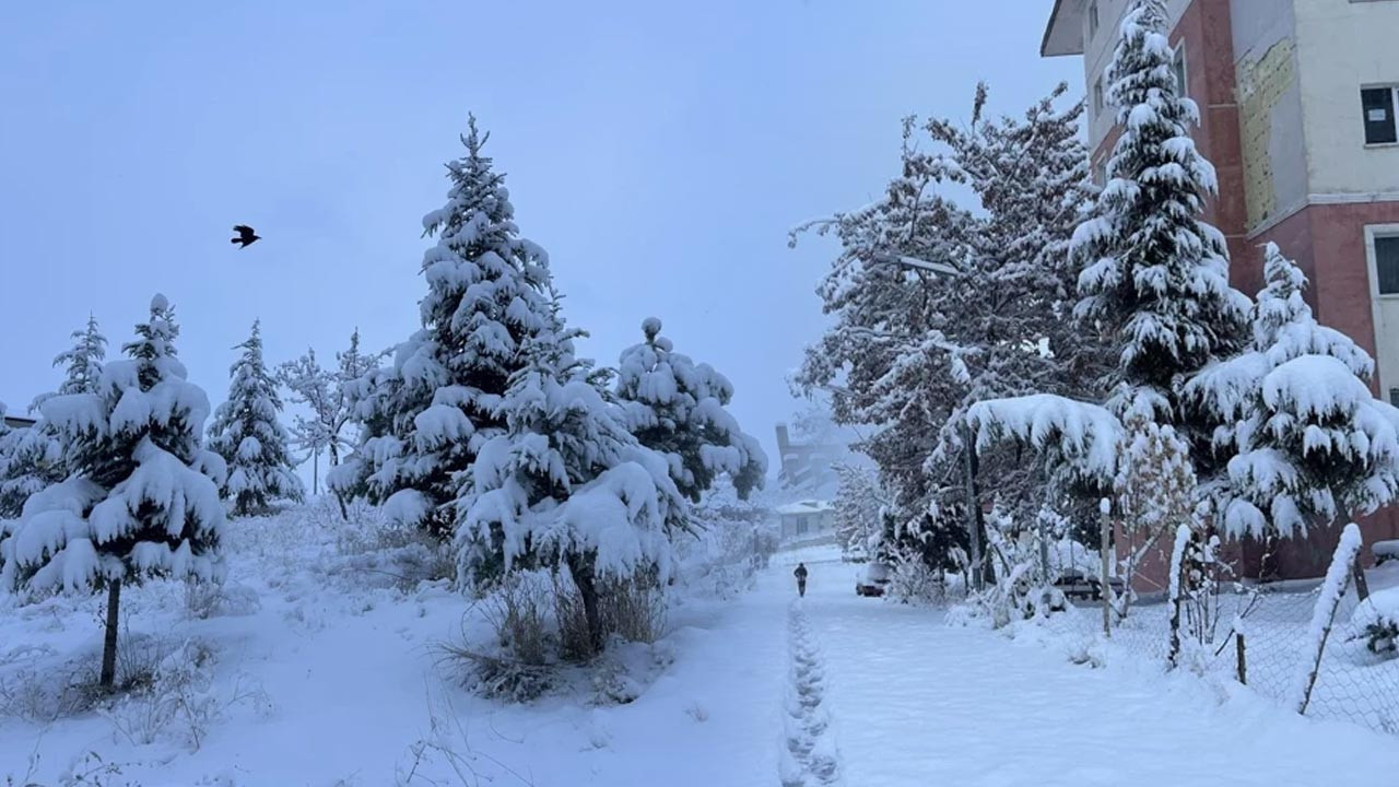 Van’da Kar Alarmı: Ulaşım Aksadı, Eğitim Durdu