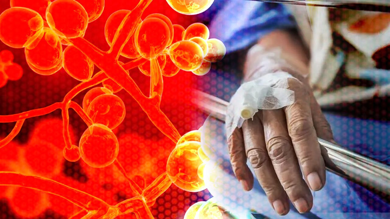 60 Ülkede Hızla Yayılan Ölümcül Virüs Paniği! İlaçlar Bile Çare Olmuyor