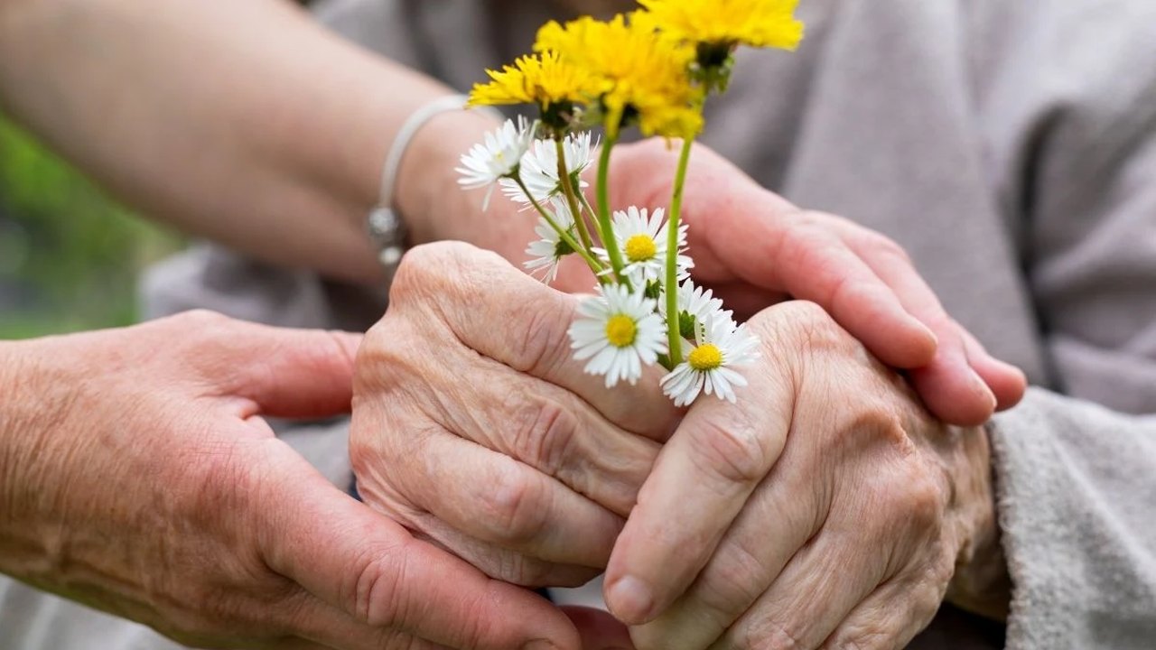 Bunu Yapanların Beyni Yaşlanmıyor! 30 Bin Kişiyle Kanıtlandı