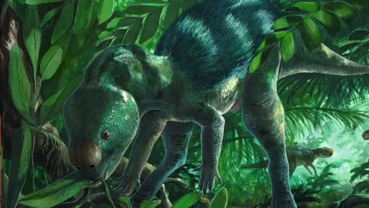 Tarih Yeniden Yazılabilir! Bu Dinozor Keşfi Şoke Etti