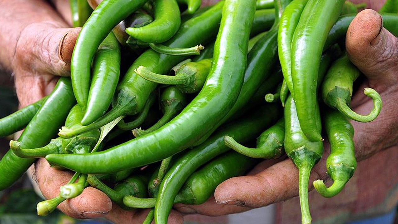 Bakanlıktan Biber Fiyatlarına Yakın Markaj: 1,8 Milyon Lira Ceza Kesildi