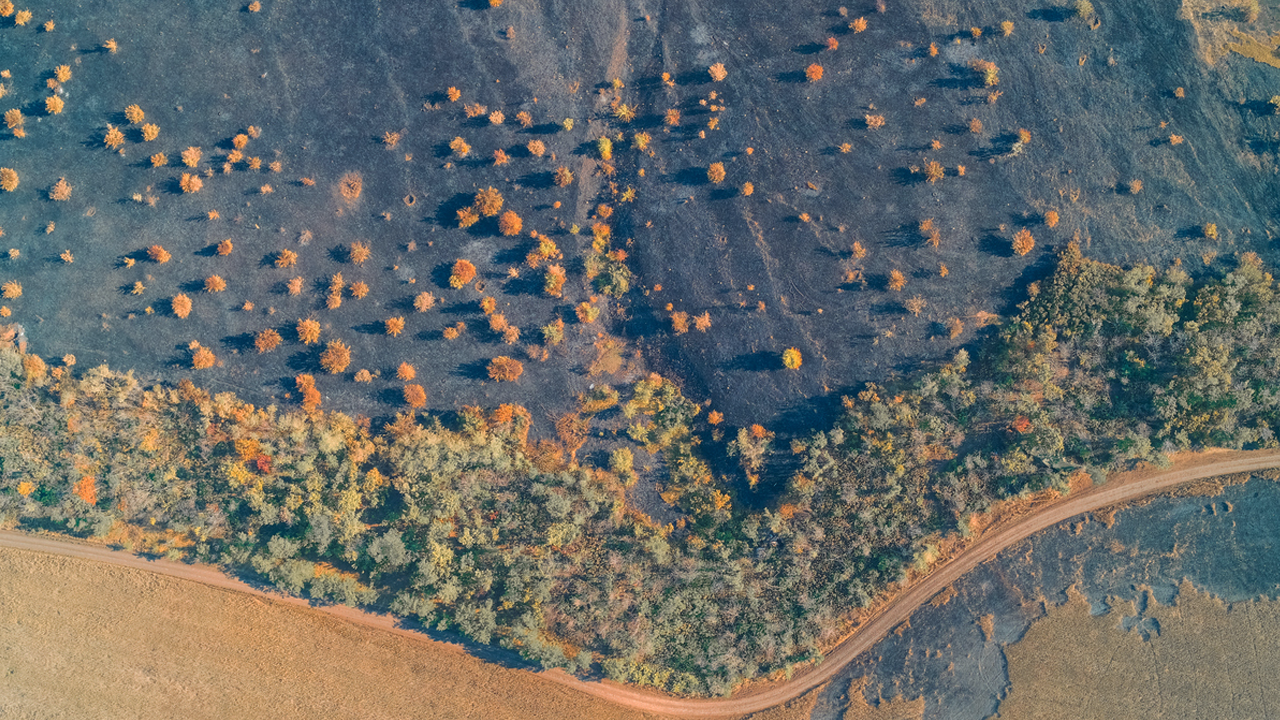 Dünya Meteoroloji Örgütü Uyardı: Sıcaklık Eşiği Aşıldı, 1 Milyar İnsan İçin Hayat Daralıyor