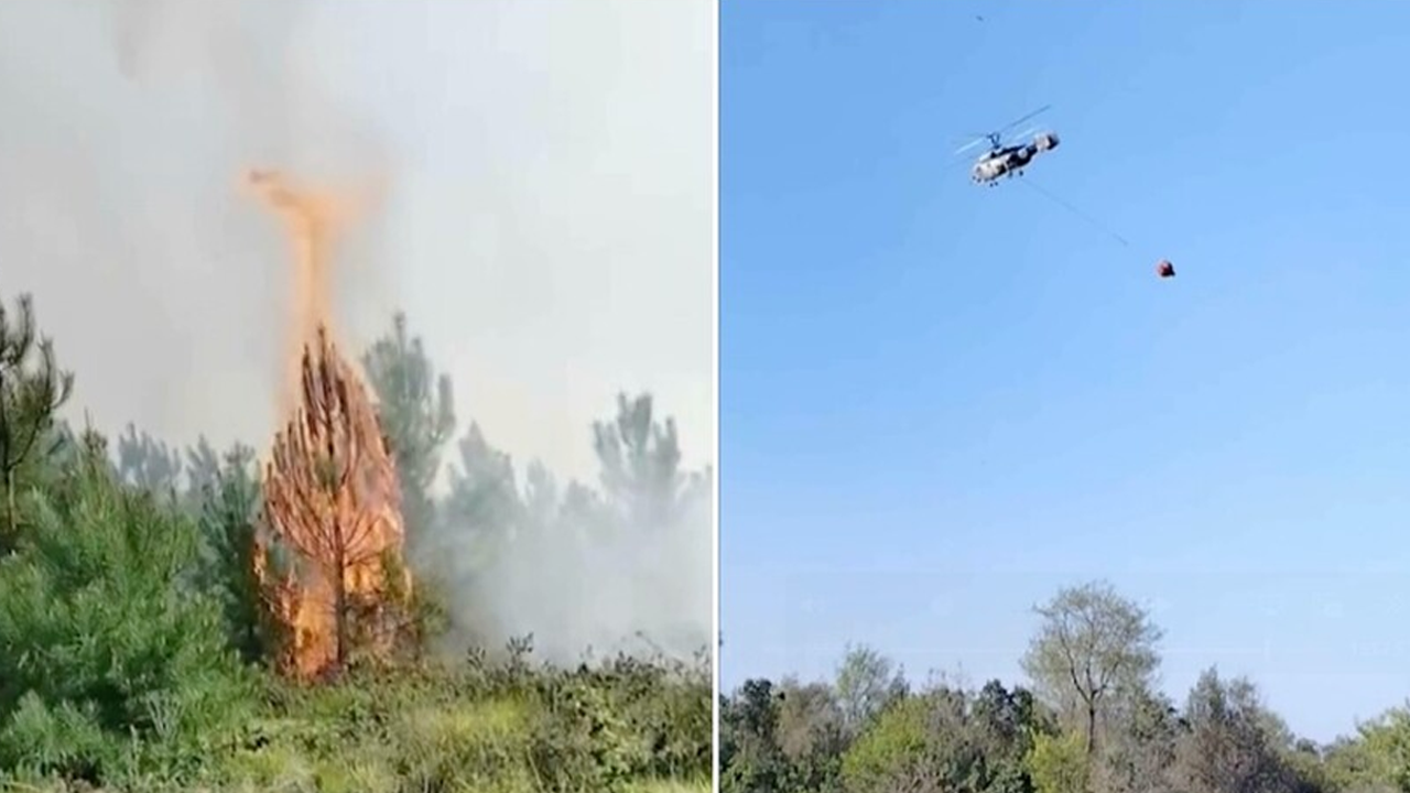 Valilik Duyurdu: Beykoz ve Çatalca'daki Orman Yangınları Kontrol Altında