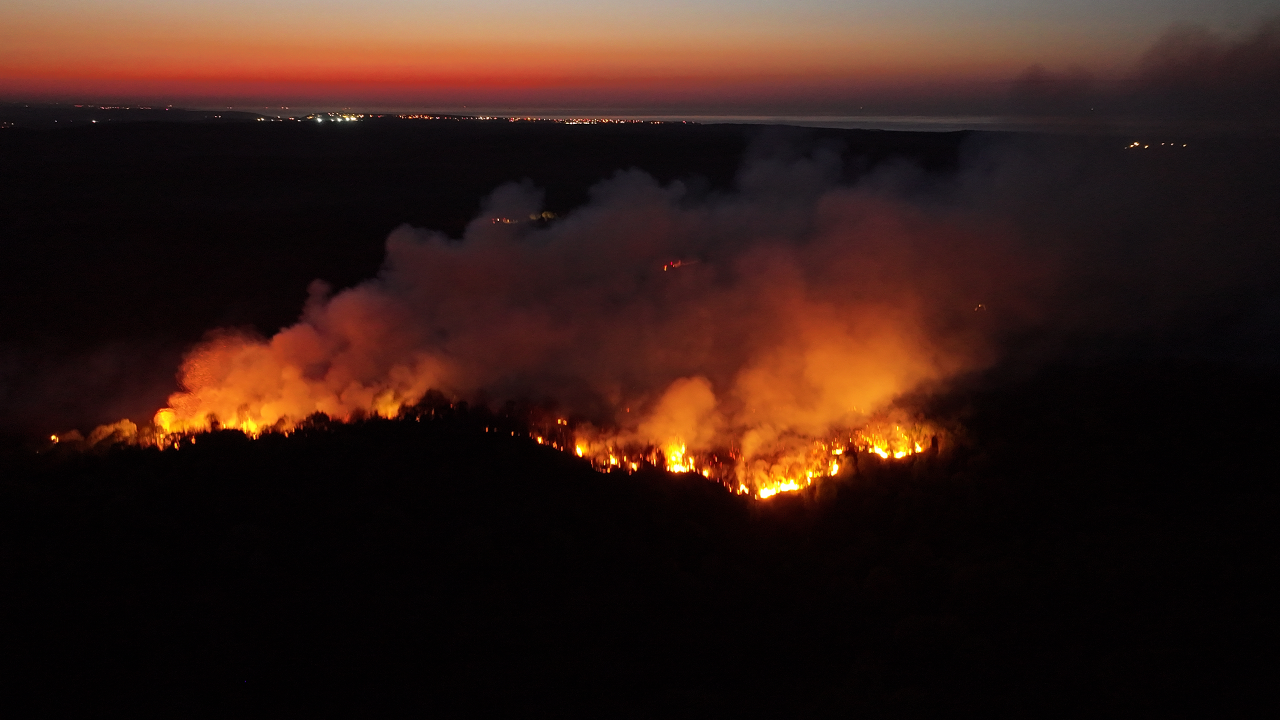 Beykoz'da Orman Yangını: Kontrole Alındı Derken Alevler Yeniden Yükseldi