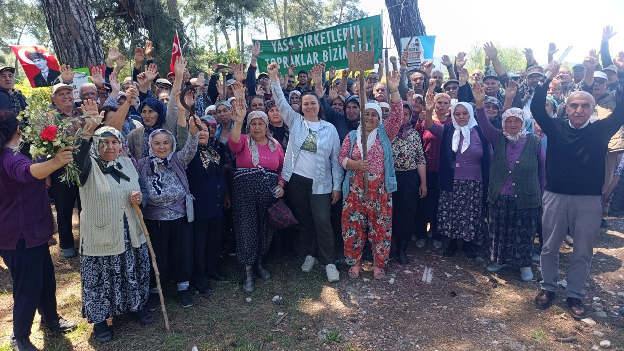 Akbelen’de Yargı Freni: Acele Kamulaştırma Durduruldu