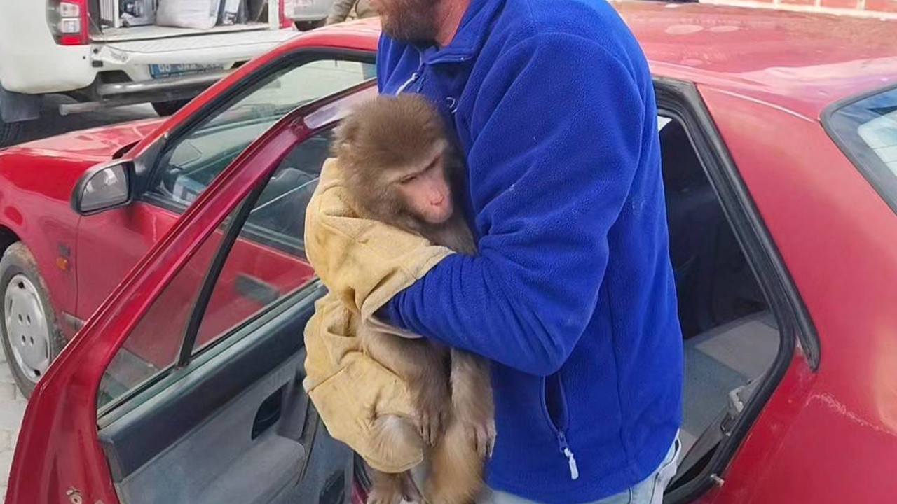 Yozgat Bozkırında Şaşırtan Misafir: Nereden Geldiği Bilinmiyor