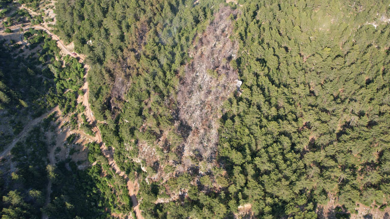 Kaş'ta Çıkan Orman Yangını Kontrole Alındı