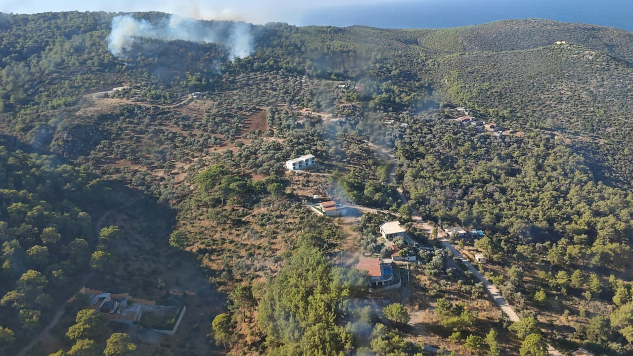 Antalya’da Orman Yangını: Kaş’ta Alevlere Havadan ve Karadan Dev Müdahale