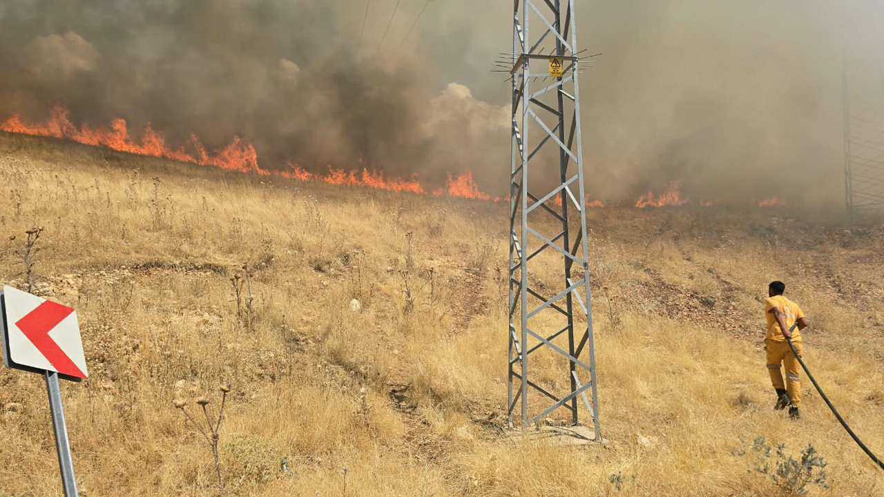 Diyarbakır'da Orman Yangını Alarmı! Alevler Rüzgarın Etkisiyle Hızla Yayılıyor