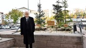 Bahçeli MHP Genel Merkezi Önüne 'Biz Kardeşiz Ağaçları' Dikti: Her Şeyin Bir Anlamı Var