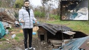 Çalındı Sanılan Köpekle İlgili Şoke Eden Gerçek: Kurtların Parçaladığı Ortaya Çıktı