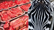 Gıda Skandalında Çığır Açıyoruz! Bakanlığın Listesinden Zebra Eti de Çıktı