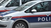 Avusturya'da Çok Sayıda Silah ve Nazi Sembolü Ele Geçirildi