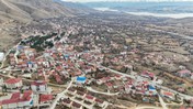 114 Hayvan Bilinmeyen Nedenle Öldü! Bir İlçe 30 Gün Karantinaya Alındı