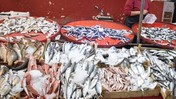 Şubat Ayında Hangi Balıklar Tüketilmeli? İşte Mevsimin En Lezzetli Balıkları