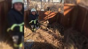 Anneleri Bir An Bile Yanlarından Ayrılmadı, Çukura Düşen Yavru Köpekler Kurtarıldı