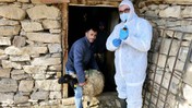 Bitlis'te Şap Alarmı! Bütün Köy Karantinaya Alındı