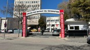 Ankara Hacı Bayram Veli Üniversitesi'nde Köpek Beslemeyi Yasakladılar