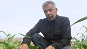 Tarlada 5 Markette 30 Lira! En Verimsiz Hasat Oldu, Çiftçiler Kan Ağlıyor