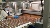 İşini Gücünü Bırakıp İflasın Eşiğindeki Şirketi 250 Bin Dolara Satın Aldı! 750 Milyon Dolara Sattı