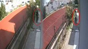 Vahşetin Sonu Gelmiyor! Cani 'Doktor'dan Kan Donduran Hayvan Katliamı
