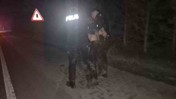 Kimlik Kontrolünden Kaçan Şoför, Polislerle Bataklığa Saplandı