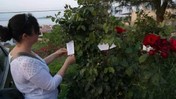 Hıdırellez'de Dilek Dilerken Sadece Bu Duayı Okuyanın Dileği Gerçek Oluyor! İşte Hıdırellez Dilek Duası