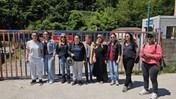 Barınaktaki Köpek Öldürüldü, Hayvanseverler Ayakta