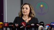 Sırrı Süreyya Önder'e Suikast İddiası... DEM Parti Sözcüsü Ayşegül Doğan'dan İlk Açıklama! Neden Kamuoyuyla Daha Önce Paylaşılmadı?