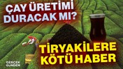 Çay Çiftçisi Batıyor, Market Kasayı Dolduruyor