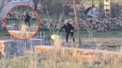 Vicdan da Adalet de Yaralı! Eşeği Döve Döve Öldürdü, Serbest Kaldı: Zulüm Kamerada