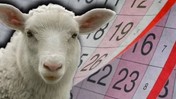 2025 KURBAN BAYRAMI TATİLİ 9 GÜN MÜ? Bakan Ersoy'dan Açıklama Geldi: Kurban Bayramı Kaç Gün Olacak?