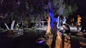 Bursa’da Bağ Evinde Balta ile Cinayet: 2 Şüpheli Gözaltında
