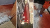 İstanbul'da Akılalmaz Olay: Kurban Kanı Evleri Bastı! 'Cinayet İşlendi Sandım' Tepkisi