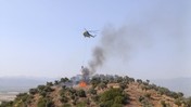 Aydın'da Zeytinlik Alanda Korkutan Yangın
