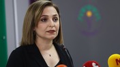 DEM Parti'den Gündem Olacak 'Öcalan' İddiası! İsim İsim Saydılar, Hepsiyle Görüşecek