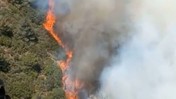 Muğla'da Orman Yangını