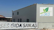 Türkiye'de Zeytin Üretiminde Lider Firma Konkordato Talebinde Bulundu