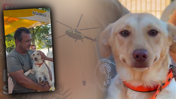 İzmir’de Felaketin İçinde Bir Tebessüm! Alevlerde Kurtarıldı, Şimdi Bir Yuvası Var… Gülümseyen Köpek Gündem Oldu
