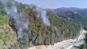 Sinop'ta Orman Yangını