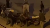 Adana'da Atlara Kırbaçlı İşkence! 3 Çocuk Hakkında Yasal İşlem