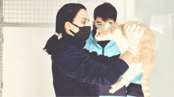 Beylikdüzü'nde ağustos ayında 500'e yakın can dostun tedavisi yapıldı