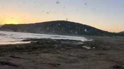 Kuraklıktan Sonra Şimdi de Sinek İstilası... Artık Sokakta Yürünmüyor!