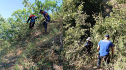 Bitlis'te Sevindiren Haber: 4 Gündür Aranan Kız Çocuğu Sağ Bulundu