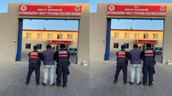 Aranan Şahıs Devriye Gezen Jandarma Ekiplerince Yakalandı