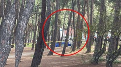 Bir Kadın Daha Öldürüldü: İstanbul'daki Hastane Bahçesinde Dehşet!