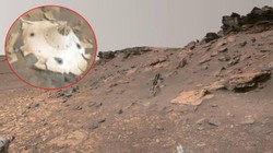 Bilim İnsanları Şokta, NASA Mars’ta Ne Keşfetti? Kızıl Gezegen'de 'Dünya Dışı' Bir Enkaz