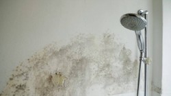 Banyodaki Nem ve Küfü Anında Yok Ediyor! Sadece Bir Avuç Yetiyor