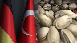 Almanya'nın Türkiye'den İthal Ettiği Fıstıkta Kanserojen Madde: Sınırda Reddedildi