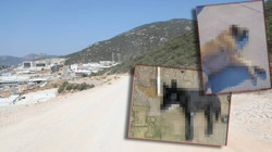 Vahşetin Adresi Bu Kez Bodrum: Kedi ve Köpekleri Zehirleyerek Katlettiler